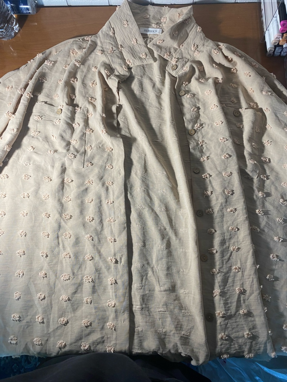 Light Cream Embroidered Button-Down Shirt